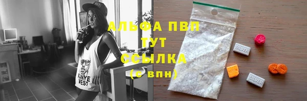 соль ск Белокуриха