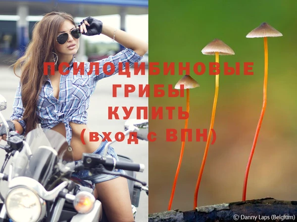 дурь Белоозёрский