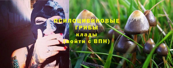дурь Белоозёрский
