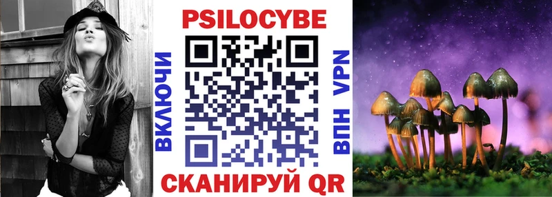 Псилоцибиновые грибы Cubensis Вышний Волочёк